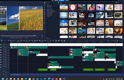 Digital Education and Activism